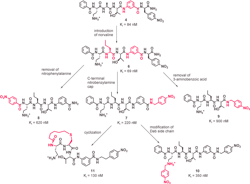 Further modifications of the peptidomimetic compound.