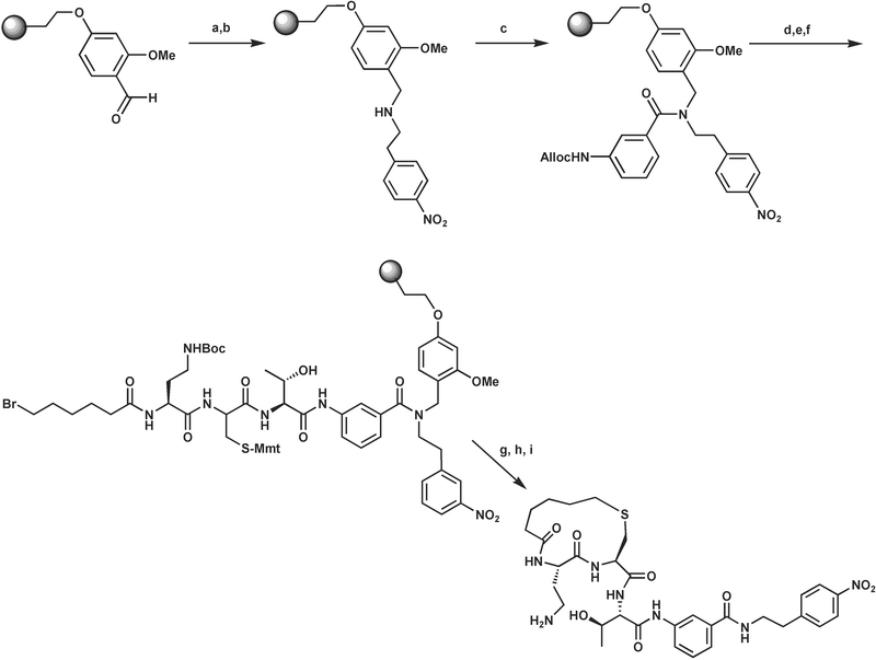 Synthesis of the cyclized inhibitor (11). Reagents and conditions: a). nitrophenethylamine, trimethyl orthoformate, dichloroethane; b). sodium triacetoxyborohydride; c). Alloc-3-aminobenzoic acid, HATU, N,N-diisopropylethylamine (DIEA) ; d). Pd(PPh3)4, phenylsilane; e). standard solid phase peptide coupling of Fmoc-Thr(t-Bu)-OH, Fmoc-Cys(Mmt)-OH, Fmoc-Dab(Boc)-OH; f). 6-bromohexanoic acid, benzotriazol-1-yloxytrispyrrolidinophosphonium hexafluorophosphate (PyBOP), DIEA; g) 1% TFA; h) 1,1,3,3-tetramethylguanidine; i) cleavage from resin (95% TFA).