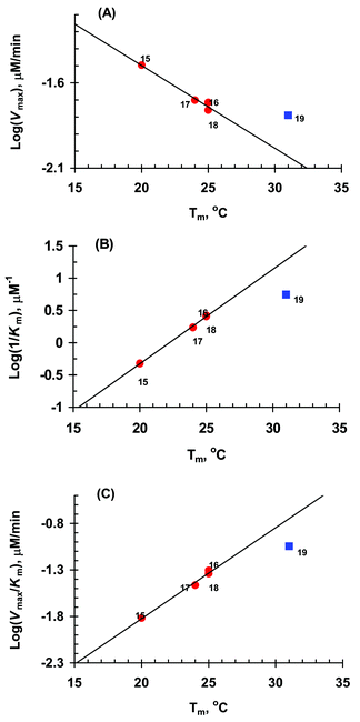 The plot of catalytic activity [log (Vmax)]
(A), binding affinity [log (1/Km)]
(B) and effective activity [log(Vmax/Km)]
(C) of RNase H versus thermostability (Tm) of the AON–RNA duplexes formed with 17mer RNA 20 and native 9mer-AON 15, Chol-AON 16, Chol(Ac)3-AON 17, Cholest-AON 18 or DPPZ-AON 19. The linear correlation was found for all AONs (15–18)–RNA 20 duplexes and exceptions for their DPPZ (■)conjugate 19. Note, the AON 19 marked with (■) is not included in the correlation equation. Correlation coefficients (R2) for the plots are: 0.99 for (A), 0.97 for (B) and 0.98 for (C).