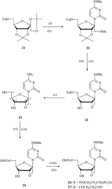 
          Reagents and conditions:
(i) persilylated N4-Bz-cytosine, acetonitrile, TMsOTf, 0 °C to rt, 18 h; (ii) MsCl, pyridine, 4 °C, 12 h; (iii) 90% TFA–water, rt, 20 min, (iv) NaH, DMF, 4 °C, 9 h; (v) methanolic NH3, rt, 48 h ; (vi) TMsCl, pyridine, rt, 30 min followed by iBuCl, rt, 3 h; (vii) DMTrCl, pyridine, rt, 12 h; (viii)
(2-cyanoethoxy)bis(N,N- diisopropylamino)phosphine, N,N-diisopropylammonium tetrazolide, DCM, 12 h for 26; (ix) succinic anhyride, DMAP, DCM, 4 h, rt, for 27. Abbreviations: Tol = 4-methylbenzoyl, Bz = benzoyl, TMSOTf = trimethylsilyl trifluoromethane sulfonate, rt = room temperature, Ms = methanesulfonyl, DMTr = dimethoxytrityl, Et = ethyl, TFA = trifluroacetic acid, iBu = isobutyryl, DCM = dichloromethane, TMS = trimethylsilyl, DMAP = dimethylaminopyridine.