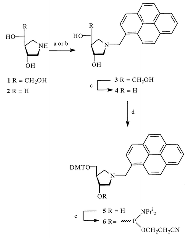 (a) 1-(chloromethyl)pyrene, Et3N, DMF; (b) pyrene-1-carbaldehyde, NaCNBH3, DMF–EtOH (3 ∶ 1); (c) 1) NaIO4, 2) NaBH4; (d) DMTCl, pyridine; (e) NC(CH2)2OP(NPri2)2, N,N-diisopropylammonium tetrazolide, CH2Cl2.