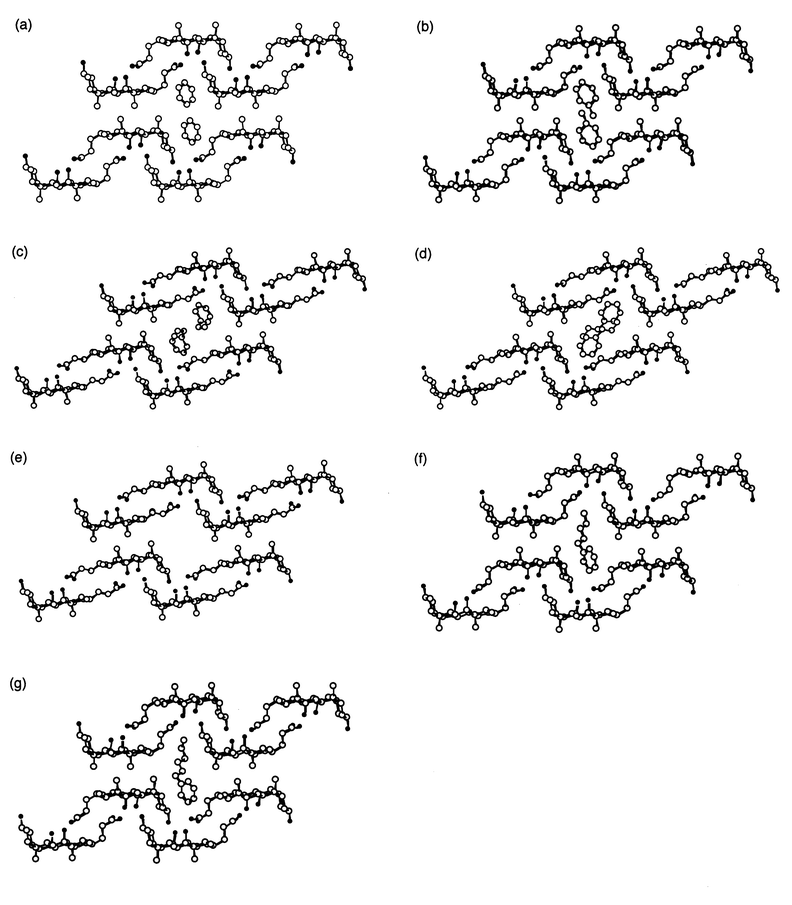 Crystal structures of CA with (a)
1, (b)
2, (c)
3, (d)
4, (e)
5, (f)
6, and (g)
7, respectively. The figures are viewed down along the crystallographic b-axis. Hydrogen atoms are omitted for clarity. Carbon and oxygen atoms are represented by open and filled circles, respectively.