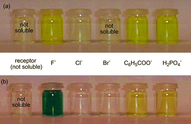 Solutions of (a) receptor 2 and (b) receptor 3
(2 mM) in acetonitrile with various anionic guests (added as their tetrabutylammonium salt at a concentration of 20 mM). In the absence of an anion, the receptors are not soluble in this solvent but are solubilised upon addition of the anion (with the exception of receptor 2 and bromide).