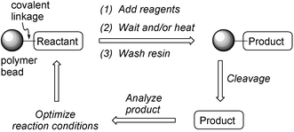 The solid-phase synthesis process on insoluble polymer beads.