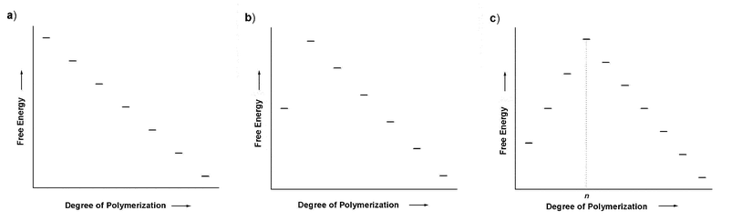 Qualitative plots of free energy as a function of degree of polymerization for different models of polymerization: isodesmic (a) and nucleation–elongation with a nucleus size of two (b) and n
(c).