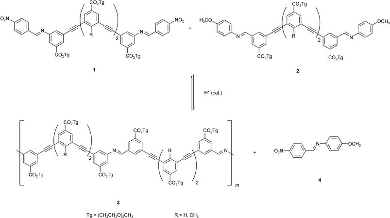 Imine metathesis polymerization of oligo(m-phenylene ethynylene) imines.