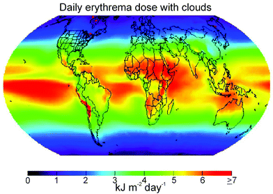 Global climatology (1979–1992) of mean daily erythemal UV dose (from the NCAR web site http://www.acd.ucar.edu/TUV/).