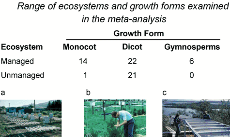 Types of vegetation examined in the meta-analysis. The numbers refer to studies for individual species. Photographs of three different systems are also shown (a. wheat and wild oat experiments in Logan, Utah, USA, W. Beyschlag; b. Loblolly pine in Maryland, USA, A. Teramura; c. Subarctic heath in Sweden, from ref. 5).