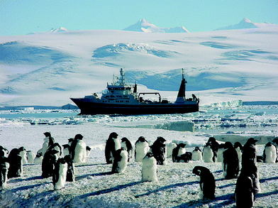 Antarctic ecosystem with research vessel Tangaroa, New Zealand, in the background.
