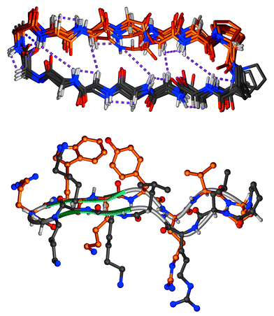 A Family Of Macrocyclic Antibiotics With A Mixed Peptide Peptoid Ss Hairpin Backbone Conformation Chemical Communications Rsc Publishing