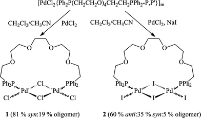 Synthesis And Characterization Of Pd2x2 M X 2 Ph2p Ch2ch2o Nch2ch2pph2 P P M N 3 5 X Cl I Dimetallacrown Ethers And The Related Dinuclear Pd2cl2 M Cl 2 Ph2p Ch2 12pph2 P P M And Pd2x2 M X2 Ph2p Ch2ch2o 2ch2ch3 P 2 X Cl I