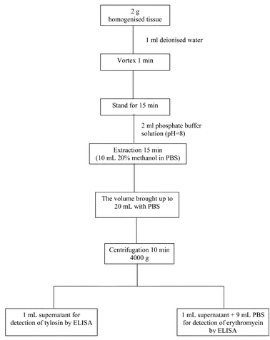 Modifying extraction procedure for erythromycin and tylosin in bovine tissue.