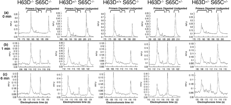 RFLP analysis of HFE exon 2 by microchip electrophoresis with on-chip digestion. (a) 76 mm separation of PCR samples before adding restriction enzyme. (b) 30 mm separation of samples after incubation with Bcl I for 1 min. (c) 30 mm separation of samples after incubation with Bcl I for 6 min. 60 s injections are included in the analysis times. The electropherograms were aligned by the invariant primer peak for easier interpretation. For genotype nomenclature: “+”
					= mutation present; “−”
					= mutation absent. RFU = relative fluorescence units.