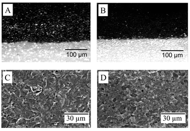 Optical microscopic images of the surfaces of the Acheson-based (A) and the CNT (B) SP electrodes. SEM images for the surface of the Acheson-based (C) and MWCNT (D) SP electrodes. Accelerating voltage, 14 kV.