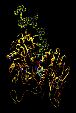 Image shows site-directed mutagenesis of an enzyme to allow the charge transfer pathway to be extended outside the protein and connected with an electrode. This work was featured on the cover of the July 2003 issue of The Analyst.