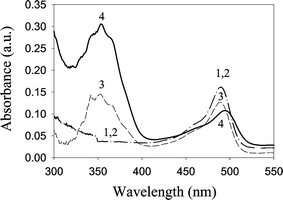 DAF-2T formation at low temperature. Absorption spectra of 10 µM DAF-2/DAF-2T in 2 ∶ 1 (v/v) glycerol–0.1 M potassium phosphate (pH 7.4) buffer. Curve 1, DAF-2 at 298 K. Curve 2, DAF-2 at 243 K. Curve 3, 10 min after saturated NO block was added at 243 K. Curve 4, after melting of NO block at 298 K. Spectral changes at 350 nm indicate DAF-2T formation.