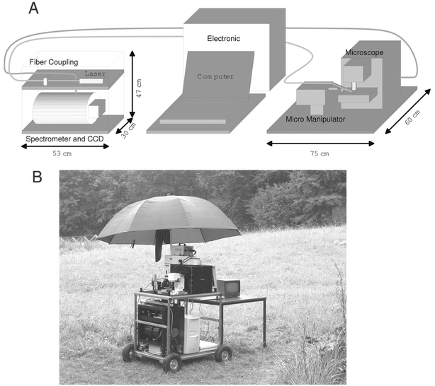 A, Schematic sketch of the mobile micro-Raman setup, and B, photo of the mobile Raman setup in use to perform on-site measurements.