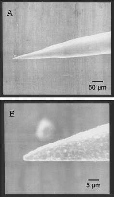 Scanning electron microscope (SEM) image of the Ag-coated fiber tip showing the entire cone at 200× magnification (A) and the tip of the fiber at 2000× magnification (B).