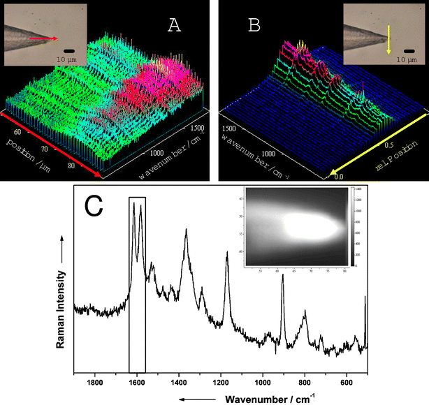 Raman mapping of a crystal violet solution recorded with the SERS fiber probe setup and the laboratory setup directly along (A) and across (B) the tip of the fiber. The insets show the images of the fiber tip, where the arrows depict the lines of measurement points. Raman spectrum of crystal violet (C) recorded directly at the tip of the fiber with the laboratory setup. The inset shows a Raman image of the illuminated fiber tip. For details see text.