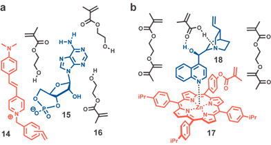 Representative prepolymerization assemblies of template (blue), reporter chromophore (red) and monomer/cross-linking agent (black). (a) In addition to 14–16, the mixture contains 2-ethyl-2-(hydroxymethyl)-1,3-propanediol trimethacrylate (TRIM) as the cross-linking agent. (b) Mono-functional Zn(ii) porphyrin 17 complexed to (−)-cinchonidine.