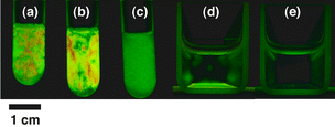 Photographs of the sols of (a)
					[Nb3O8]−
					(ϕ
					= 0.1 vol.%), (b)
					[Nb6O17]4−
					(ϕ
					= 0.1 vol.%), (c)
					[TiNbO5]−
					(ϕ
					= 0.1 vol.%), (d)
					[Nb3O8]−
					(ϕ
					= 0.003 vol.%), and (e)
					[Nb3O8]−
					(ϕ
					= 0.001 vol.%) nanosheets placed between crossed polarizers.