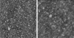 AFM images of (left) silicon/PDDA/C60DF and (right) silicon/PDDA/C60DF/FeiiiCytc
					(1 µm × 1 µm).