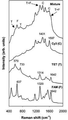 SERRS spectra recorded by a portable spectrometer from single labelled oligonucleotides which have E. coli sequences. The multiplex spectrum from a mixture of all three labels is also shown and each analyte can be identified.