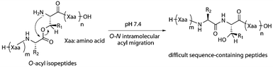 The synthetic strategy for difficult sequence-containing peptides via the O–N intramolecular acyl migration reaction of O-acyl isopeptide.