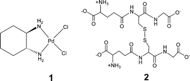 glutathione disulfide reduction Reaction formulas of disulfide bond reduced by a) GSH or b) DTT. c) main image 0