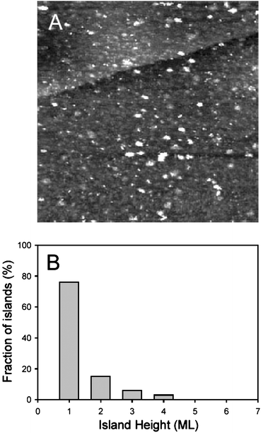 STM images (40 × 40 nm) of Pt(111) in 0.1 M H2SO4 after Ru was spontaneously deposited for: (A) 3 min, recorded at 0.10 V, coverage = 18 ± 3%; (B) the corresponding island height distribution.62
							(Reprinted from ref. 62, © Elsevier 2004, with permission).