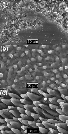 SEM images of an MgB2 target ablated at 193 nm at a fluence of 12 J cm−2. (a) Pre-ablation, (b) after ablation with one pulse and (c) after ablation with 10 pulses.