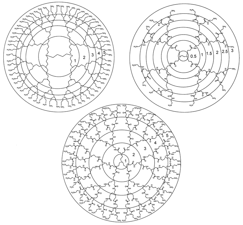 Common commercially available dendrimers. Top left: Polypropylene imine dendrimer (G5). Top right: Polyamido amine dendrimer (G3). Bottom: Polyamido amine (Starburst™) dendrimer (G5). Each generation is marked with a circle.