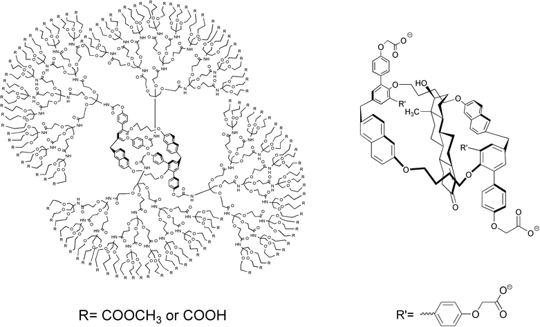 Left: G3-Dendrophane for the encapsulation of steroids. Right: The host–guest binding motif upon complexation with testostorone.83