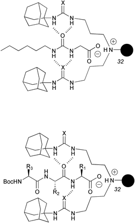 The ‘click-in’ design. X = O,S. Top: Intake of urea containing guest molecules in urea or thiourea hosts.38,39 Bottom: Intake of N-Boc-protected peptides.89,90