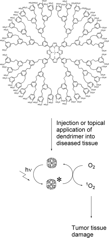 Schematic depiction of ‘photo dynamic therapy’
						(PDT) using a dendrimer with a protoporphyrin photosensitizer core, which upon irradiation with light and subsequent reaction with oxygen creates tissue damaging singlet oxygen.