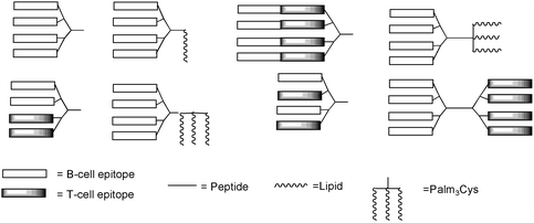 Schematic depiction of different MAP-designs comprising different peptides representing T- and B-cell epitopes, respectively and showing different ways to organise these elements in MAP structures. Also shown is the possibility of including fatty acids into such structures either as single, straight chain alkyls or as the specific tripalmitatecysteinyl structure (N-α-palmitoyl [2,3-bis(palmitoyloxy)propyl]cysteine.