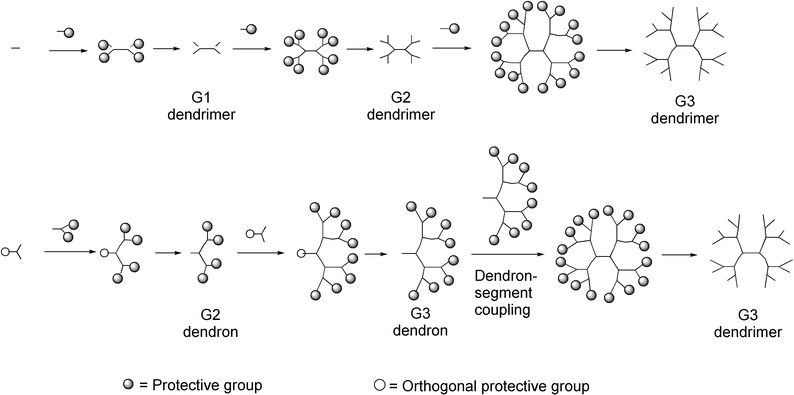 Dendrimer synthesis (schematically depicted). Top: Divergent strategy. Bottom: Convergent strategy