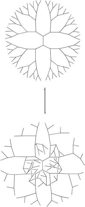 Variation in molecular density of a dendrimer due to back-folding. Increased back-folding leads to an increased molecular density in the core region (bottom). The degree of back-folding varies with solvent polarity and pH.