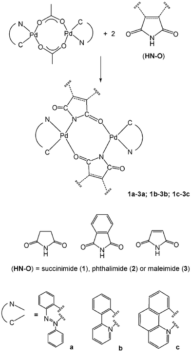 Synthesis of dinuclear complexes, 1a–3a, 1b–3b and 1c–3c.