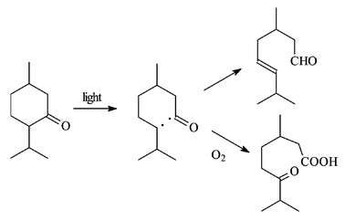 scheme, filename = b309592d-s6.gif