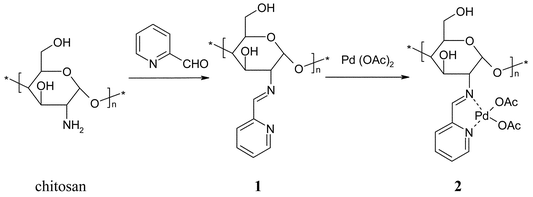 The synthesis of chitosan-pyridyl imine complex and its conversion to the related Pd complex.