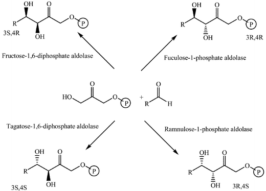 scheme, filename = b409143b-s18.gif