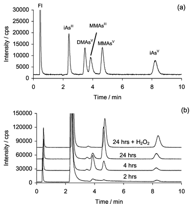 HPLC–ICP-MS chromatograms showing arsenic species detected at m/z 75 using Separation 1. (a) Standard chromatogram, each peak approximately 20 ng As mL−1; (b) sample chromatograms taken after 2, 4, and 24 hours incubation of 3.4 µg mL−1 iAsIII with 0.17 mM CH3B12, 22 µM GSH, 20 µg mL−1 iSeIV in 0.07 M TRIS buffer (note: iAsIII peak is off scale), also shown is the chromatogram obtained for 24 h incubation after the addition of H2O2.