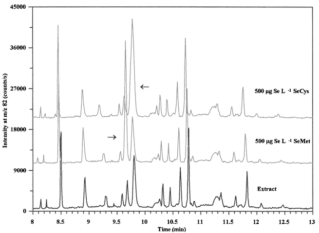 Expanded electropherograms from analysis of the cold water yeast extract by CE-ICP-MS and samples spiked with 500 µg Se L−1 selenomethionine and selenocystine, respectively. Conditions are shown in legend to Fig. 1.