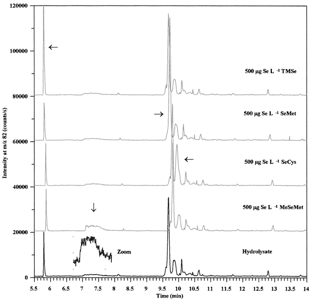 Expanded electropherograms from analysis of a hydrolysed aqueous extract of yeast and samples spiked with 500 µg Se L−1 trimethylselenonium, selenomethionine, selenocystine and Se-methylselenomethionine, respectively. Conditions are shown in the legend to Fig. 1.