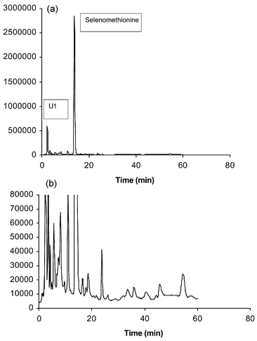 Se-specific HPLC-ICP-MS chromatograms of the enzymatic hydrolysis of 1250 ppm Se yeast (reference) using 0.1% HFBA ion pairing agent, Symmetry Shield™ column (lower—Se-82 counts s−1 response scale expanded).