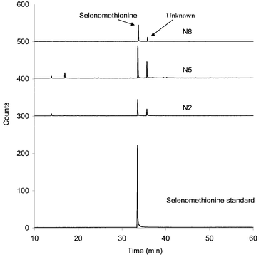 GC-(Se 196 nm) of N2, N5 and N8 Clark yeast tablets using the enzymatic extraction method and derivatization by ethyl chloroformate. Baseline offset for display purposes: N2 trace, baseline is at +300 counts; N5 trace, baseline is at +400 counts, N8 trace, baseline is at +500 counts.
