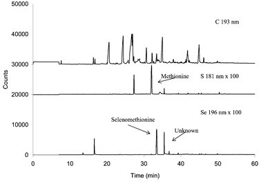 GC-AED chromatogram of derivatized Clark yeast using the enzymatic extraction and treatment with ethyl chloroformate.