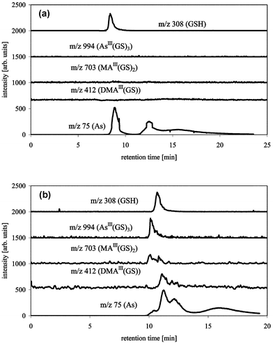 HPLC-ICP-MS/ESI-MS chromatograms of AsIII(GS)3, DMAIII(GS) and MAIII(GS)2 with TSK G2000 SW (300 × 7.6 mm), buffer: 15 mM ammonium carbonate pH 8.0 (a), or 20 mM pyridine pH 2.5 (b), flow 1 mL min−1, m/z 75 (As) measured by ICP-MS, m/z 412 (DMAIII(GS)), 703 (MAIII(GS)2), 994 (AsIII(GS)3) and 308 (GSH) measured by ESI-MS.