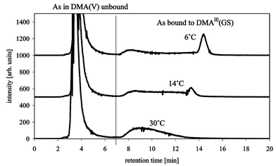 Effect of column temperature on the separation/recovery of DMAIII(GS) with Waters ODS 2 C18, buffer A: 0.1% formic acid, buffer B: acetonitrile, flow 1 mL min−1, gradient 0–20 min 5–30% B, 20–30 min 5% B, m/z 75 (As) measured by ICP-MS.